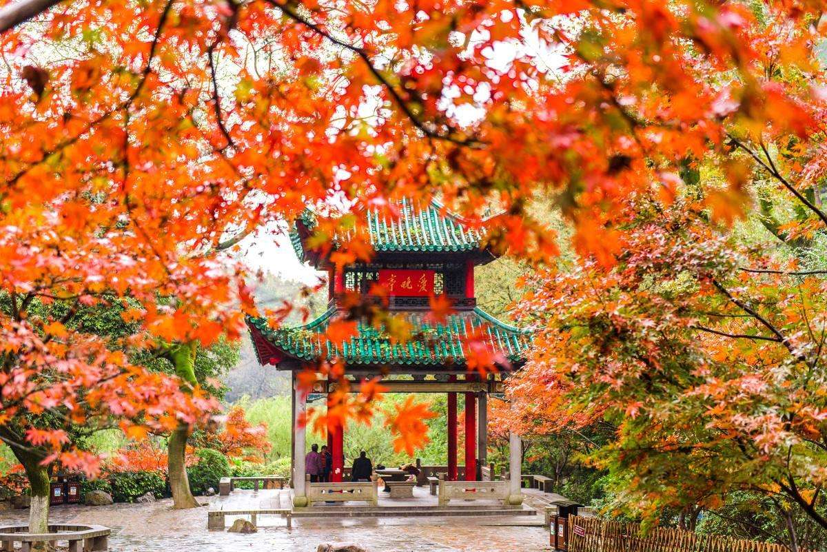 岳麓山景点特色,岳麓山和桃花岭哪个风景多一些