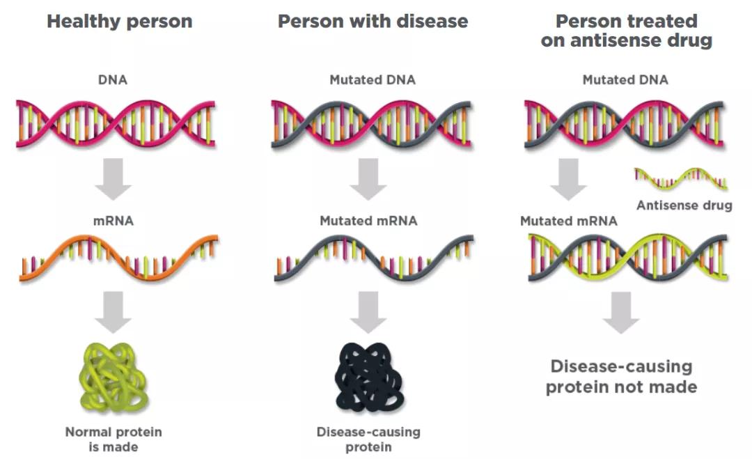 国内rna生物医药,中国2020年20大生物制药公司