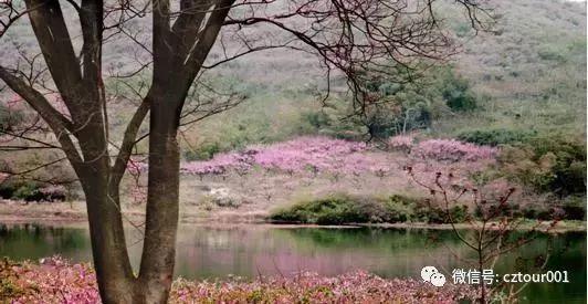 常州周末适合去哪里踏青,清明农庄亲子游攻略