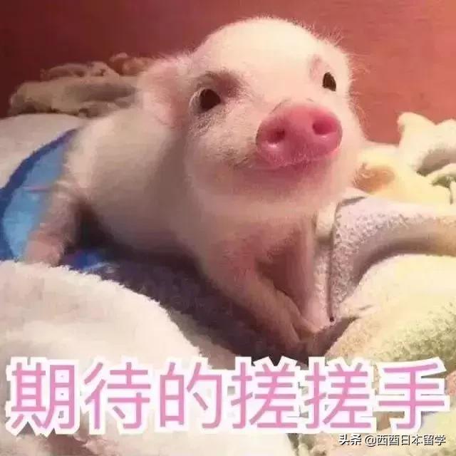 日本干净无垃圾,日本无垃圾生活