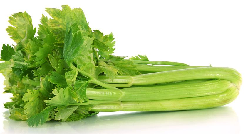 痛风的食疗与用药,痛风的治疗药物和饮食关注