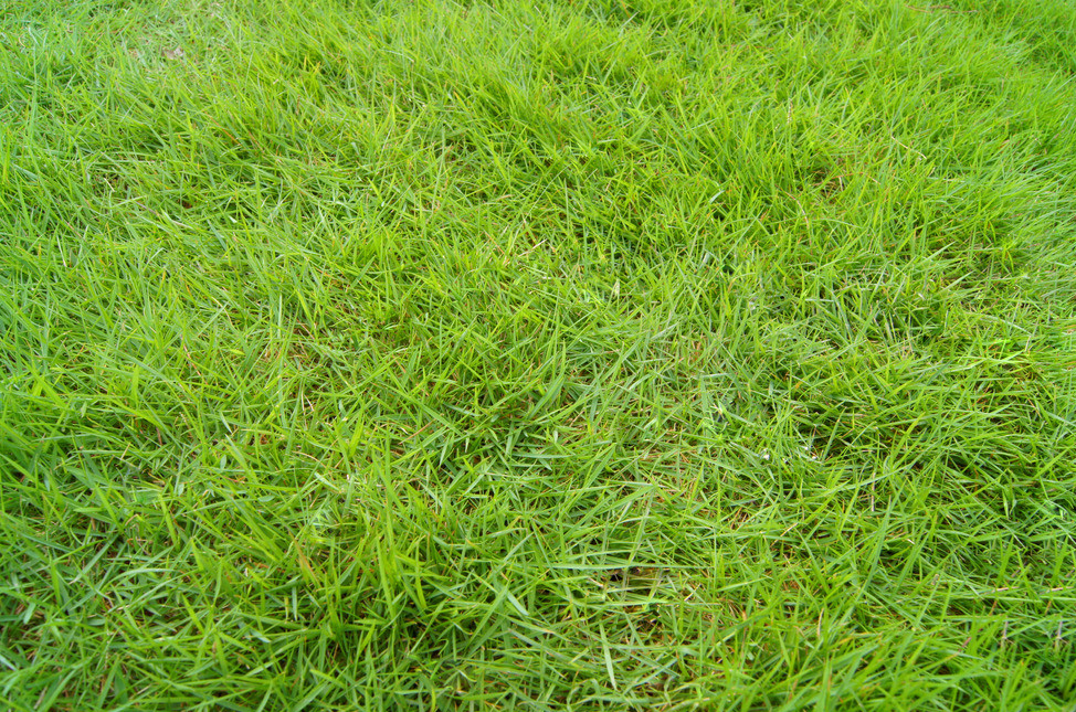 说文解字第280课全集,说文解字第70课