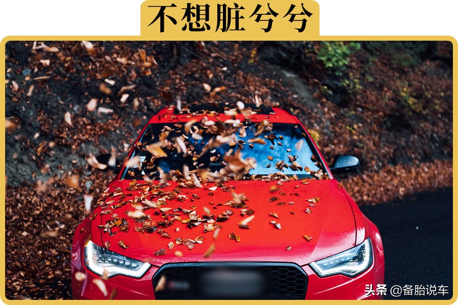 车停室内有必要罩车衣么,室外停车有必要罩车衣吗