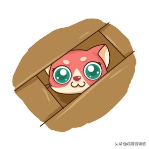 猫咪不睡窝喜欢睡床,猫窝猫咪不睡怎么办