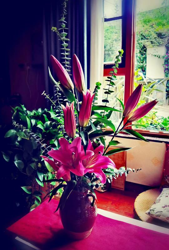 爱一个人的最好方式就是成全他,爱一个人最好的方式是心疼是付出