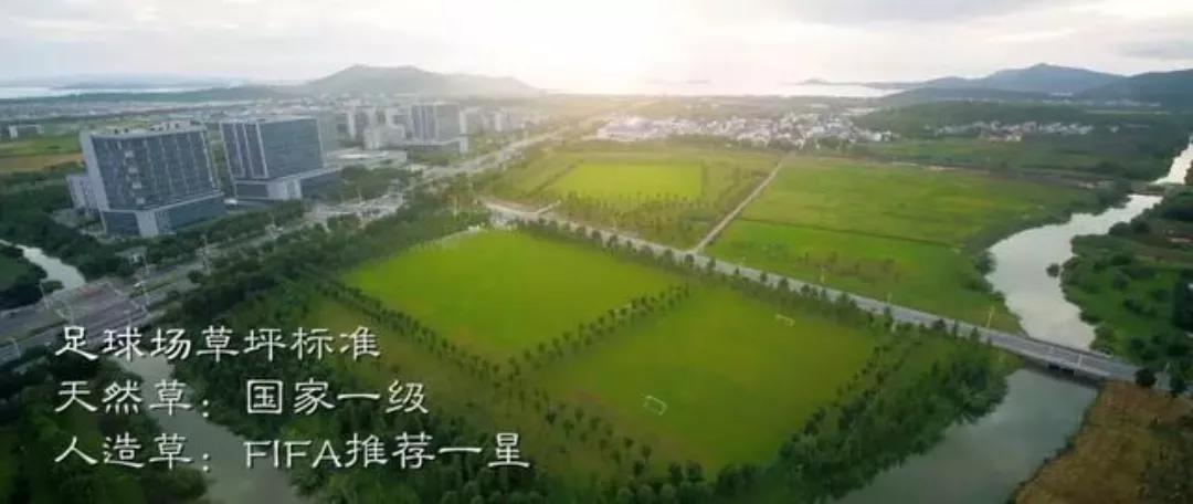 苏大强经济实力雄厚不,苏大强足球最新消息