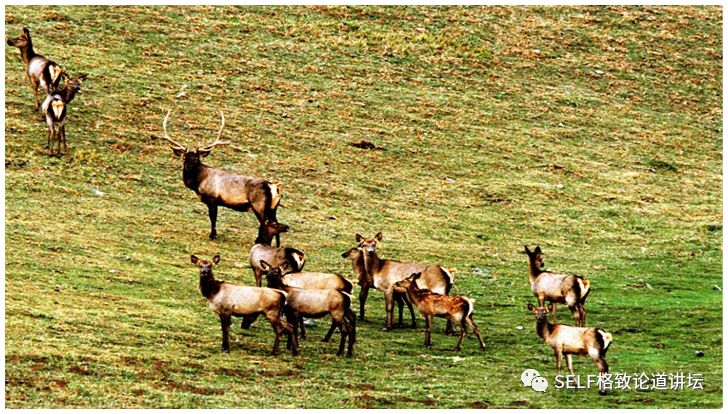 新疆天山世界文化遗产,天山为什么被入选为世界自然遗产