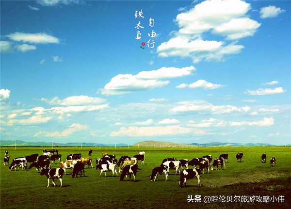 我和呼伦贝尔之间只隔一张火车票只需勇敢前行，梦想自会引路