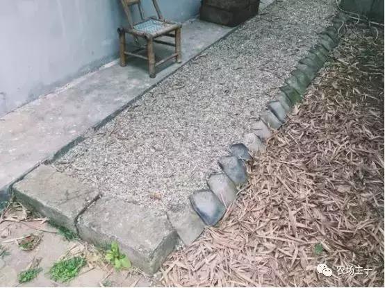 改造山野小院记录田园生活,花4万块钱改造的小院