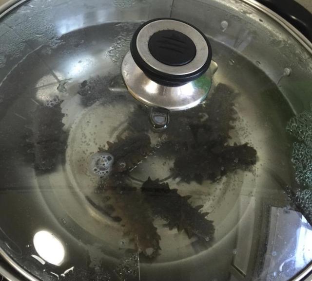 泡发好的海参怎么吃好吃又简单,怎样发海参才能吃起来好吃