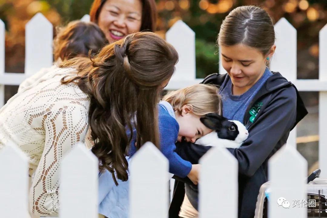 年龄相差89岁，英国王室最强带货组合