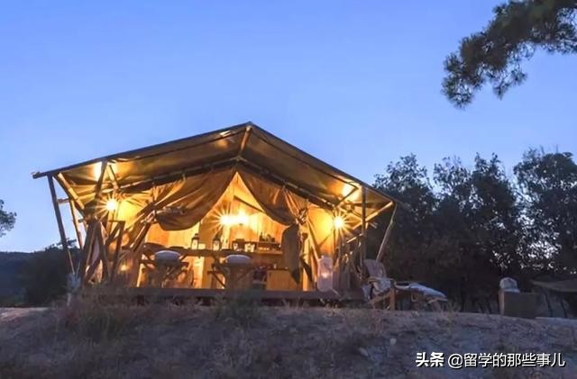 中国乒乓球重回巅峰,中国乒乓球员火了