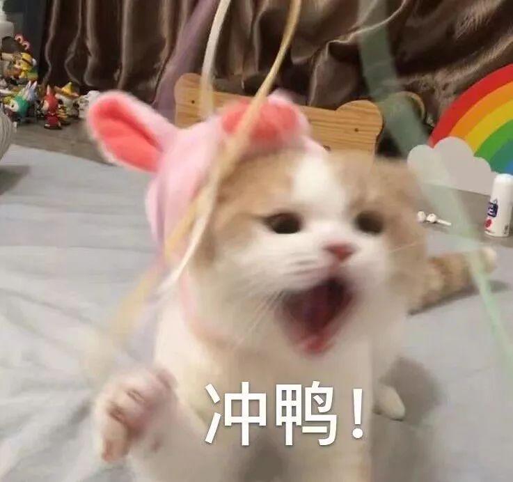 美食9.9元套餐,美食9.9元套餐直播