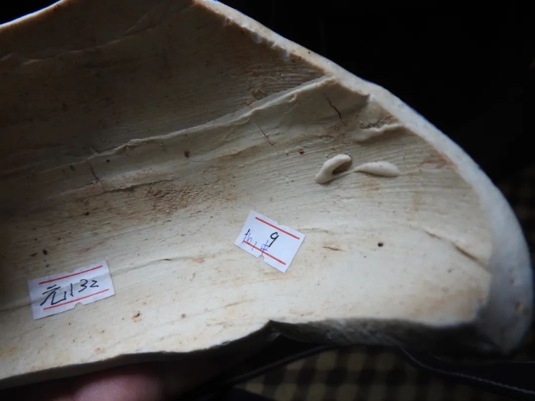 鍏冮潚鑺卞寽鐪熷搧鐗瑰緛,姘戠獞鍏冮潚鑺辩鐗瑰緛