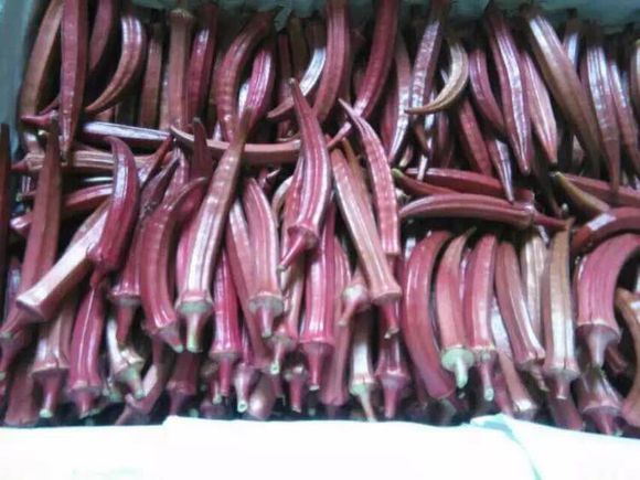 农村目前最有发展空间致富项目,农民工回乡创业有什么项目