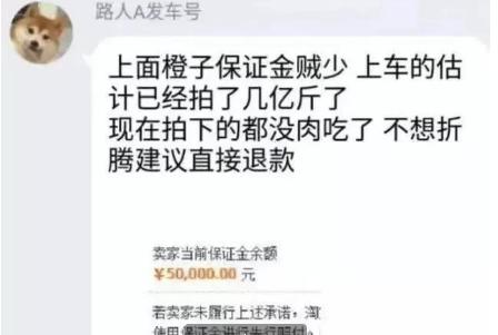 “薅羊毛”薅垮多家店铺，占小便宜跟吃人血馒头有什么区别？