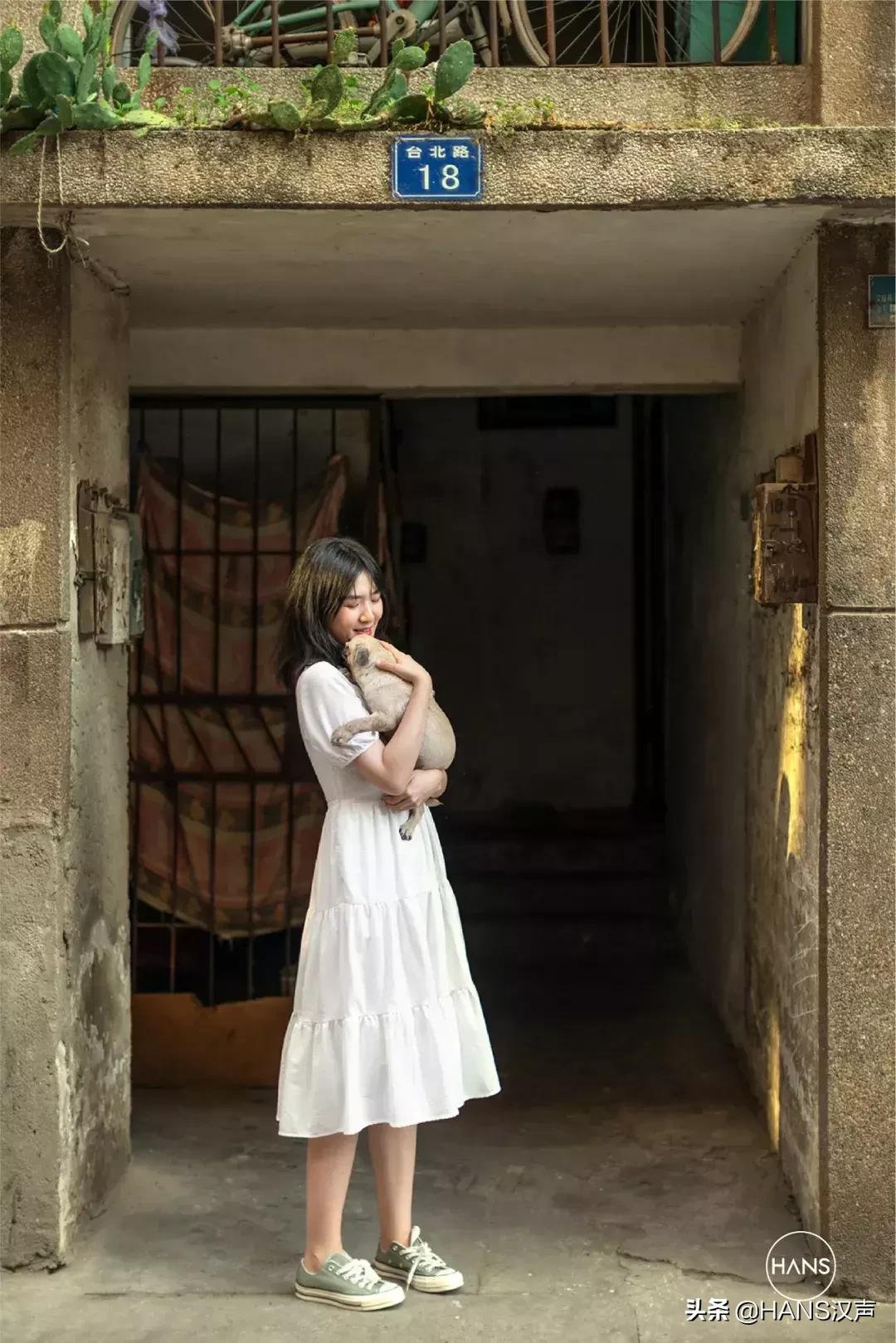 这里是台北路：绿荫蝉鸣的惬意背后，暗藏气象万千