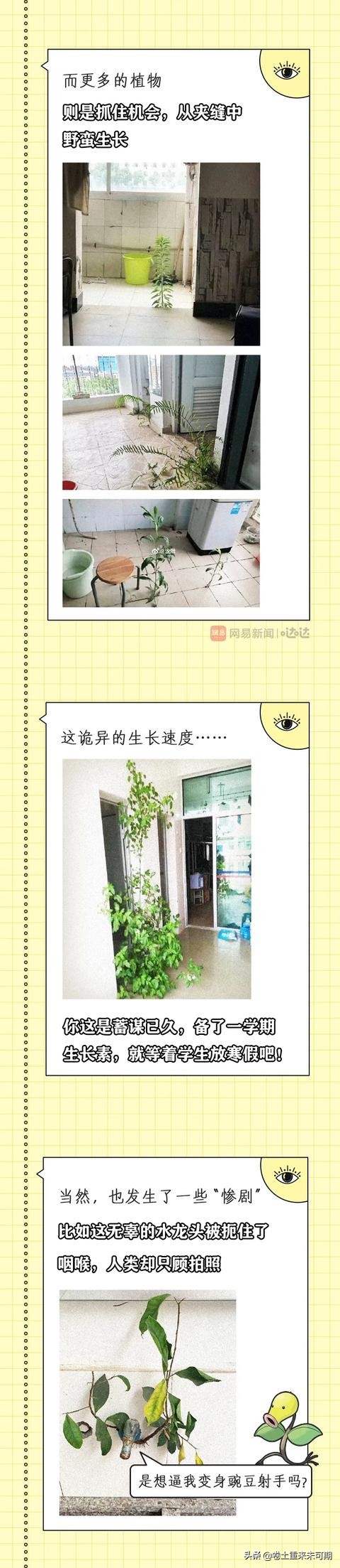 那些上学时最好看的漫画,开学前看的vs开学后看的漫画