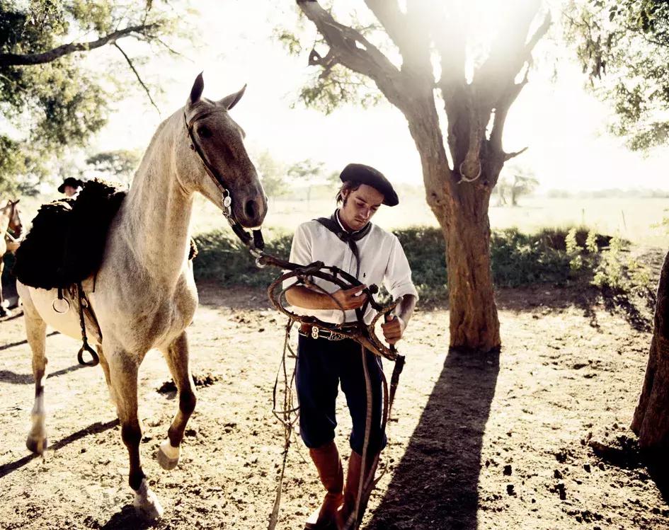 马背上的孤胆英雄：无马不欢的高乔人