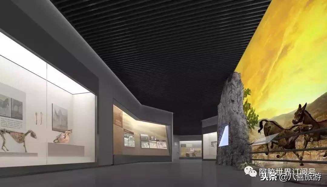 东阿阿胶泡温泉,阿胶温泉