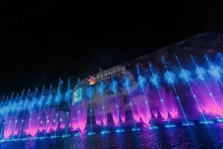 上海人游广州,上海人游浙江