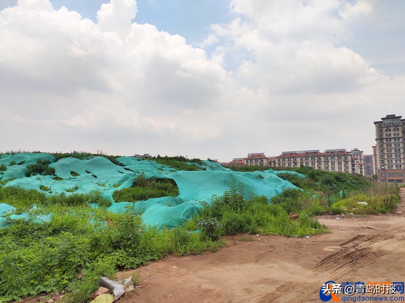 为2023亚洲杯建造的足球场,亚洲杯青岛青春足球场