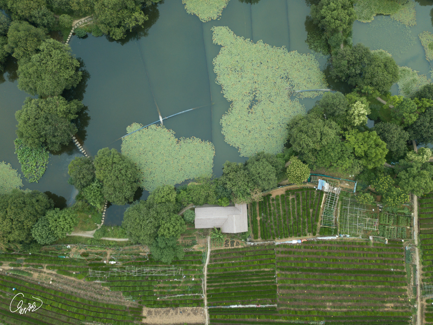 坐公交游杭州几路最好,杭州87路公交沿路风景