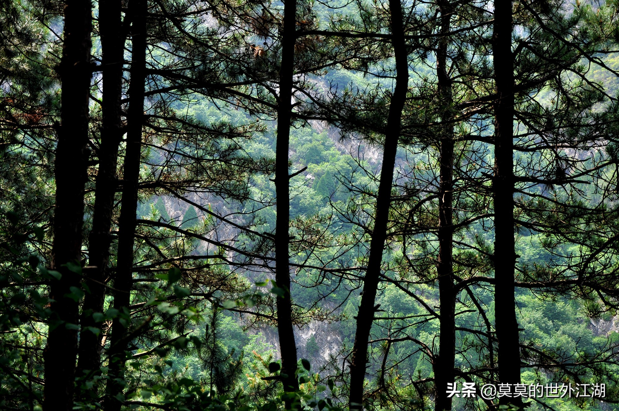 密云水库徒步旅游攻略,北京密云树林旅游攻略
