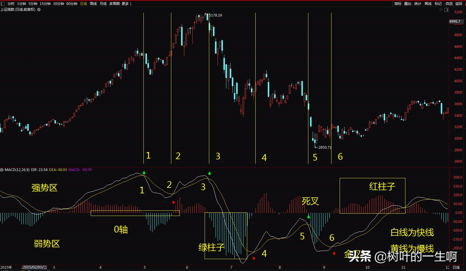 技术派基础入门,macd图解入门