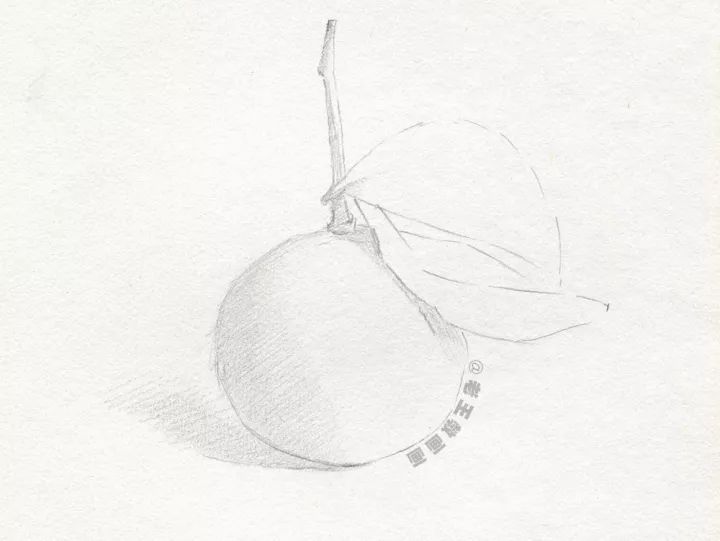 会画画的都会画素描吗,有的人说我不会画素描