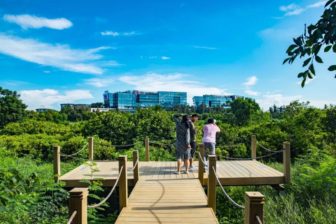 深圳周边三个小时到的城市,深圳附近2-3天短途旅游古镇