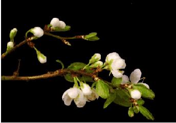 这几天总有陌生电话打来,接到ai打的电话该怎么办