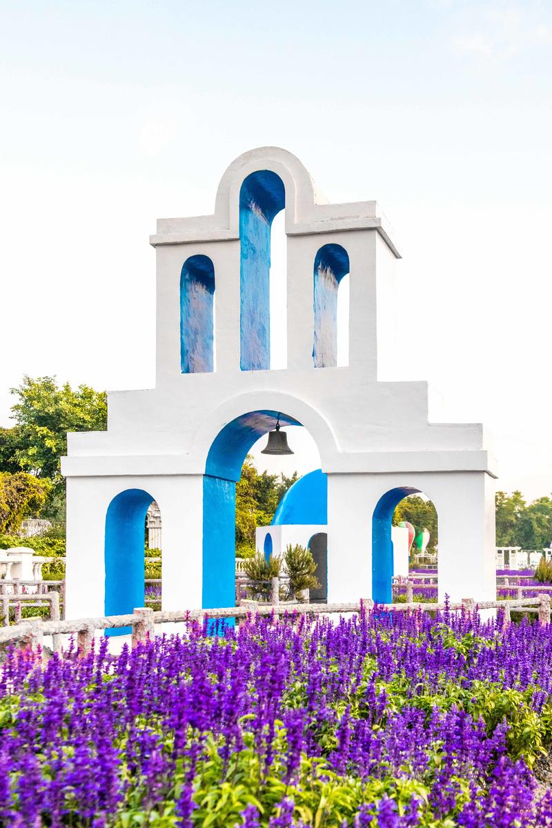 你知道广州有个百万葵园吗？四季都繁花似锦，景色让人流连忘返