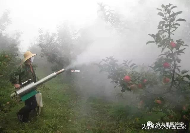 果园用药误区都有哪些,果园用药存在的问题及建议