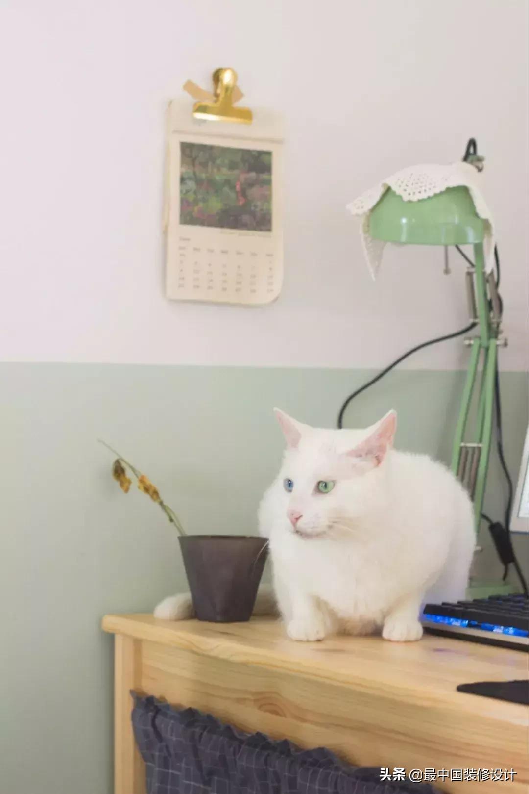 硬装只花5万多,硬装只花10万装出来的家