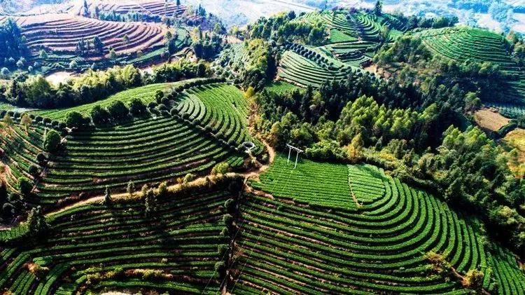 犍为最美的风景是哪里,犍为风景最优美的地方