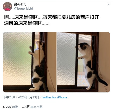 鱼小菜菜酱的萌宠时间（第三期）