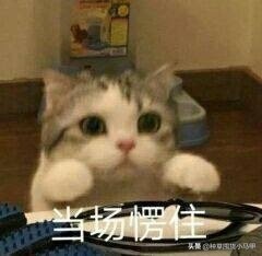 芮一面膜有激素超标吗,网红面膜产品打假测评