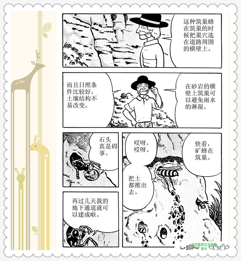 昆虫记法布尔动画片,昆虫记法布尔全套