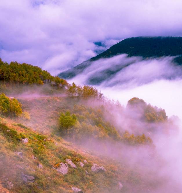 阿勒泰秋天有多美,秋天的新疆阿勒泰太美