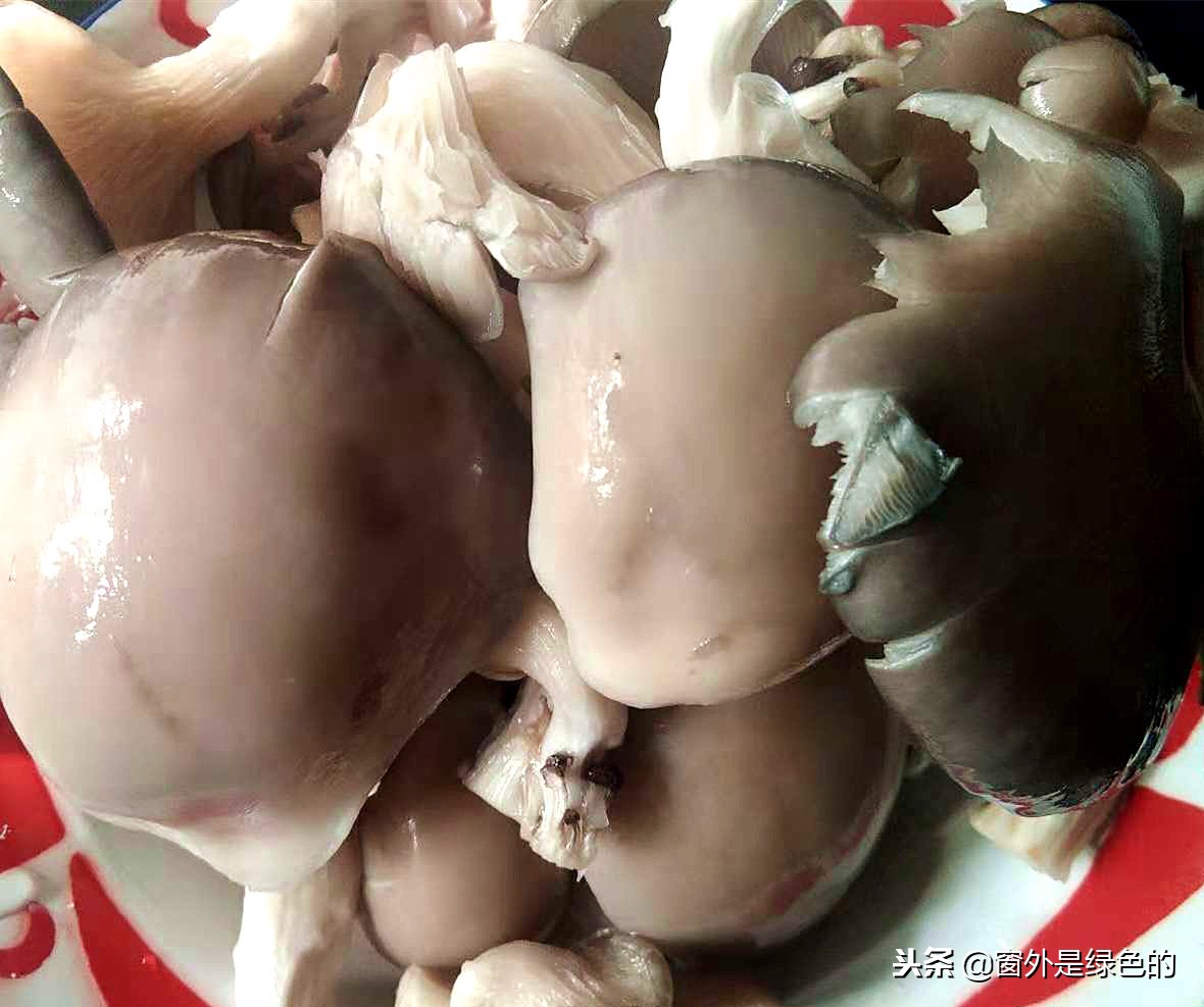 排骨最好吃十种做法,排骨火锅的做法的介绍