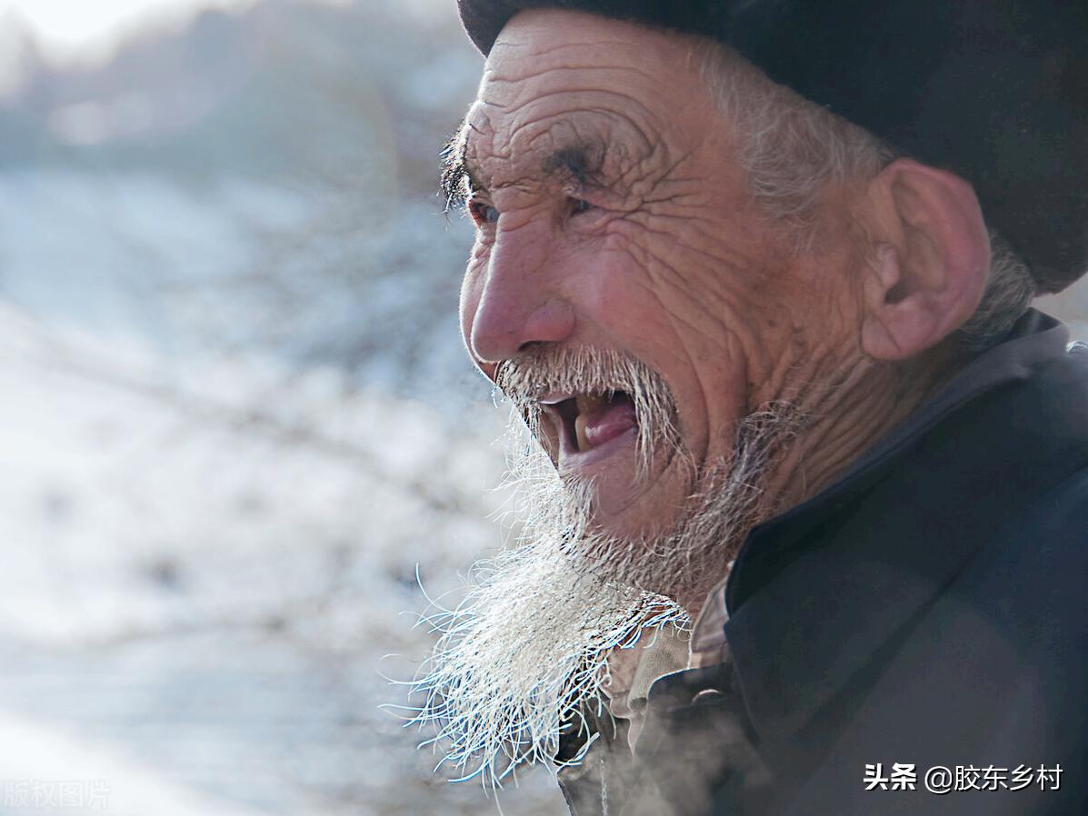 喜鹊唱山歌前兆,腊八遇冬至喜鹊唱山歌