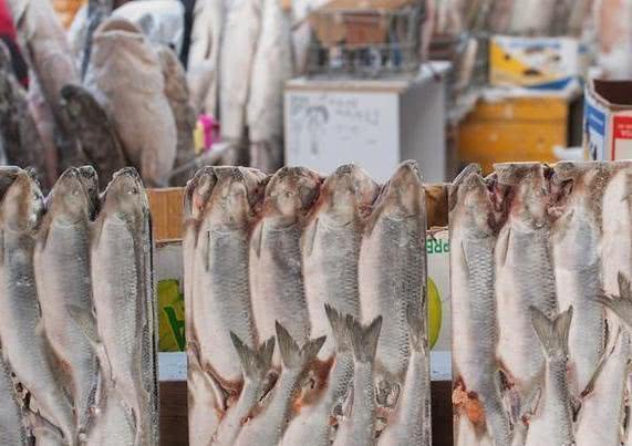 在零下64度的“冰城”，还能买到哪些菜？游客逛完后表示接受不了