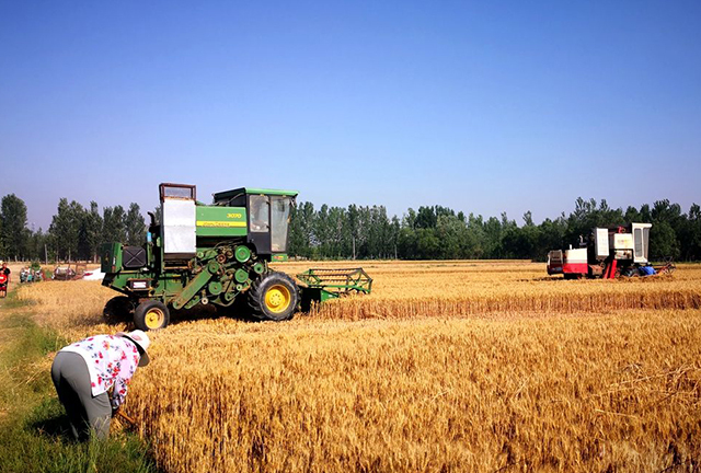 农村土特产想打开市场，注册商标形成品牌，实乃*局破**良策
