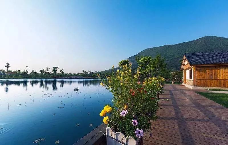 苏州书香世家树山温泉门票,苏州树山书香温泉度假村