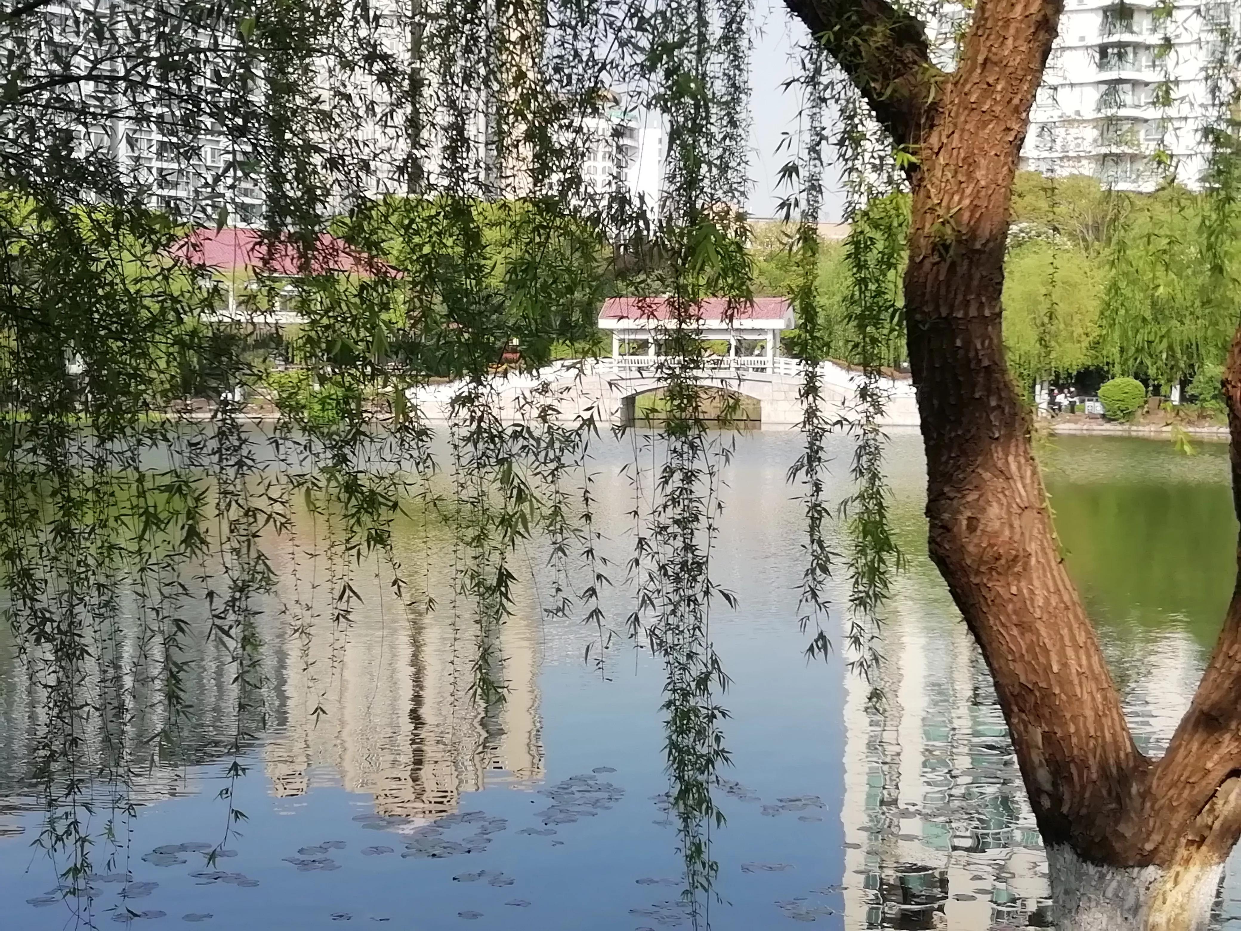 东西体育,上海体育场与虹口体育场