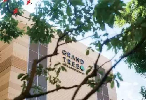 什么ip适合深度变现,什么ip变现最好用