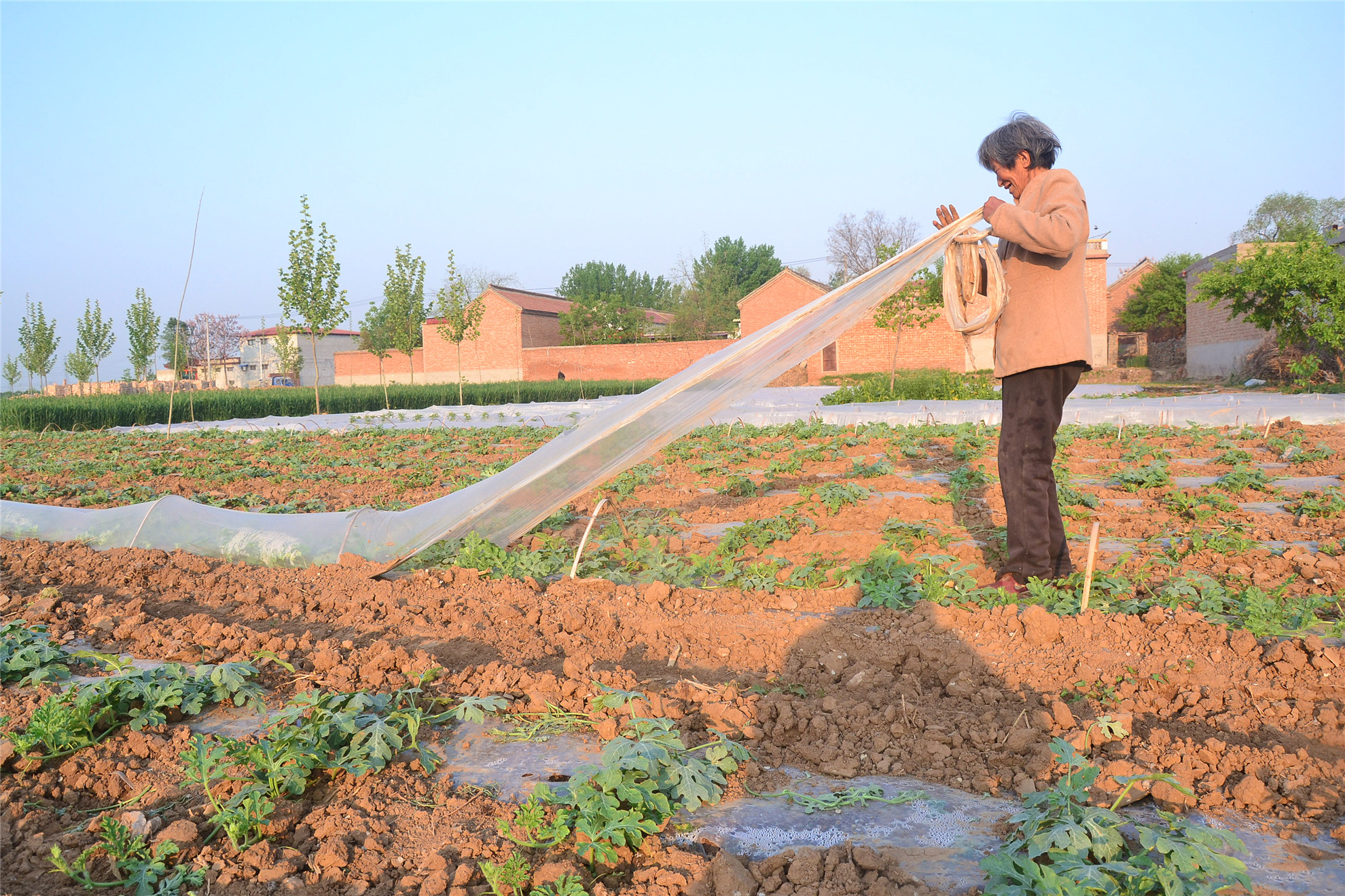 农村人创业的真实经历图片,80后农民创业记录