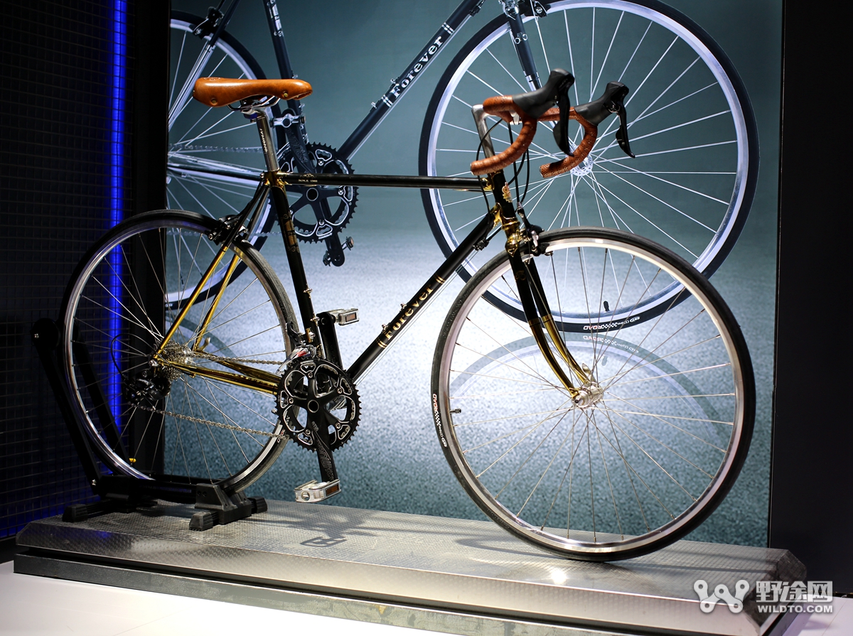 世界上最长的自行车有哪些,盘点世界上所有的自行车世界纪录