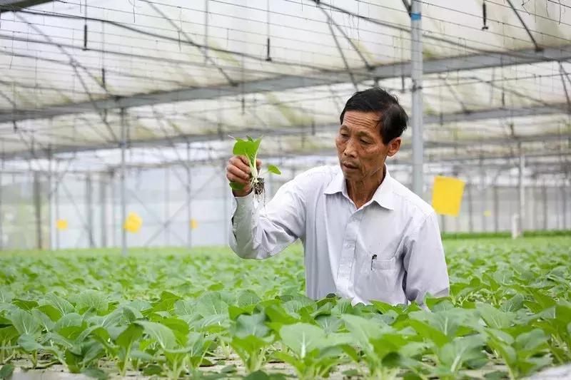 三水合作社,三水街道合作社